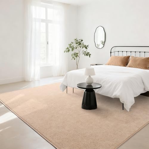 BENRON Soft Rugs for Living Room 6x9 Beige, Minimalist Area Rug for