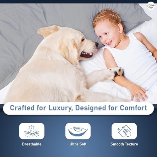 100% Egyptian Cotton Standard Size Pillowcases Set of 4, Light Grey
