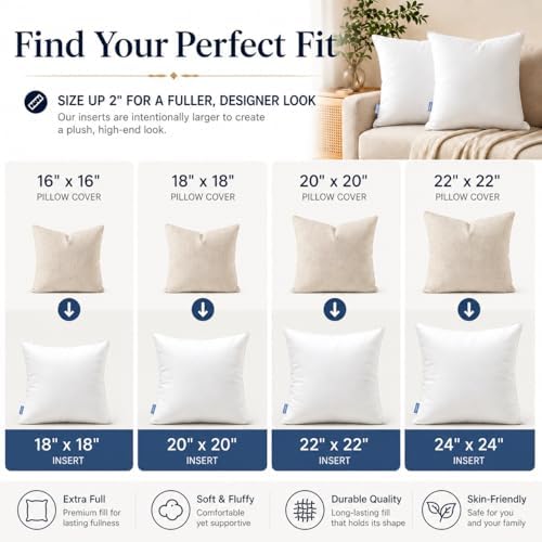 Leeden 20x20 Throw Pillow Inserts Set of 2, Pillow Forms for Couch