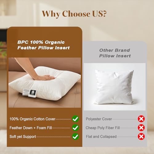 BPC 18x18 Down Feather Throw Pillow Inserts Set of 2, 100% Organic