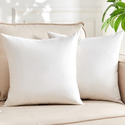 Organic Feather Down Throw Pillow Inserts 20x20 Inch Set of 2