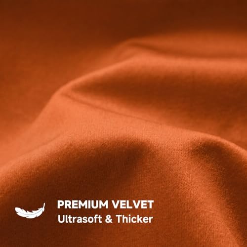 QUORGVES Burnt Orange Velvet Throw Pillow Covers 18x18 Inch Set of 2
