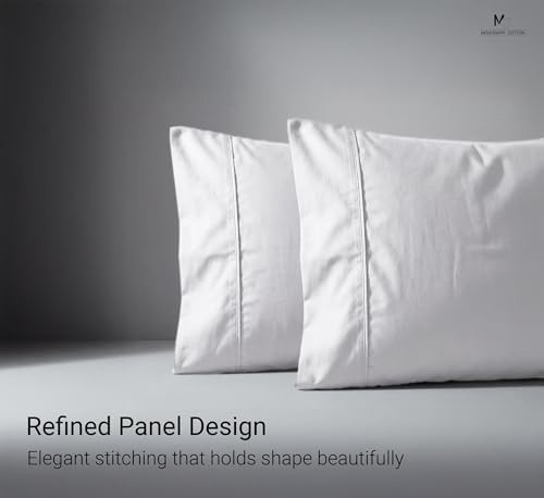 Light Grey Set of 4 Standard Queen Pillow Cases, Single-Ply Premium