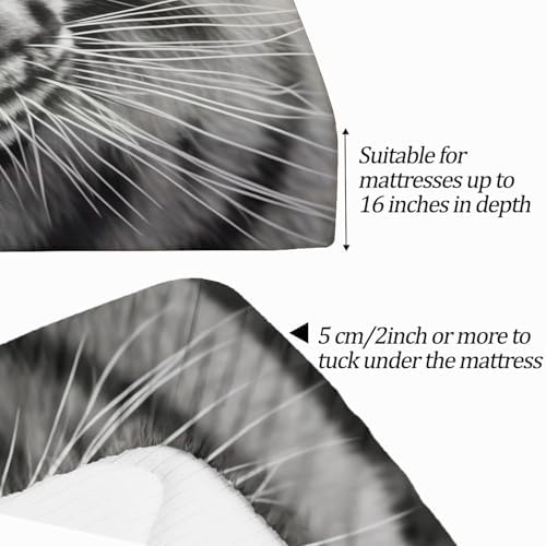 Fitted Sheet 3 Pieces Twin XL Size Animals Photography Tiger Soft