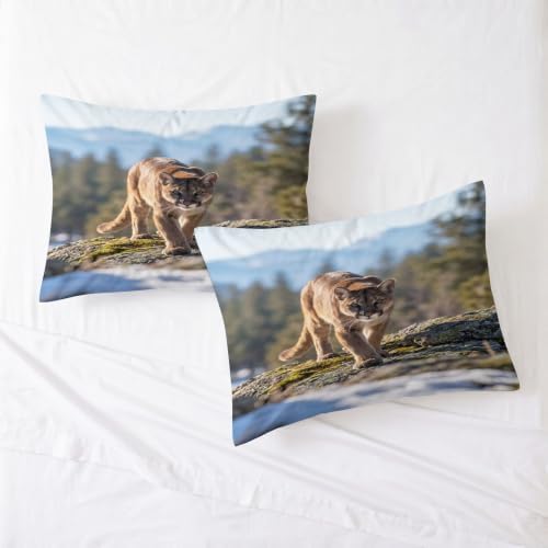 King Duvet Cover Set Soft Microfiber Animals Lion