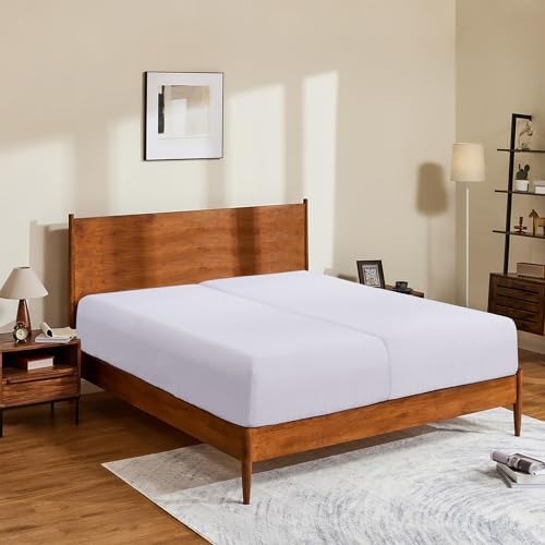 2 Pack Twin XL Fitted Sheet - 100% Egyptian Cotton 600 Thread Count