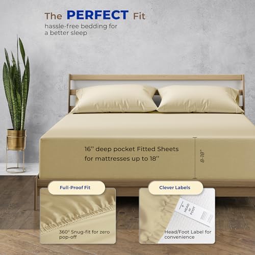 Thread Spread Twin XL Fitted Sheet Only - 100% Egyptian Cotton 600