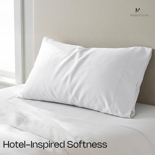 Light Grey Set of 4 Standard Queen Pillow Cases, Single-Ply Premium