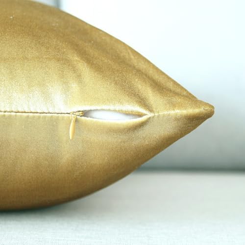 Hibate 2 Pack Soft Velvet Couch Throw Pillow Covers 20x20 Inch for