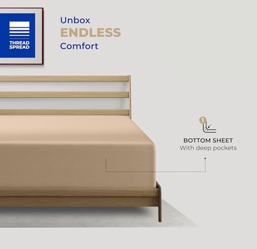 THREAD SPREAD Egyptian Cotton Fitted Sheet Queen Size - Luxury 400