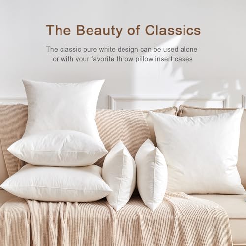Organic Feather Down Throw Pillow Inserts 20x20 Inch Set of 2