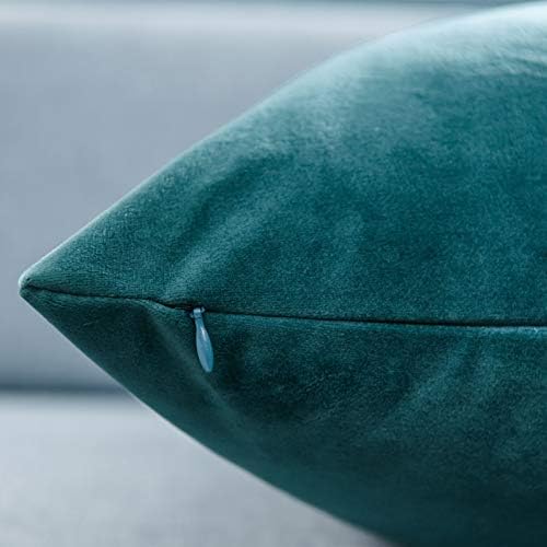 JUSPURBET 22x22 Decorative Velvet Throw Pillow Covers Set of 2,Peacock
