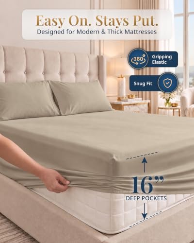LANE LINEN Hospital Bed Sheets Twin XL 100% Egyptian Cotton Sateen