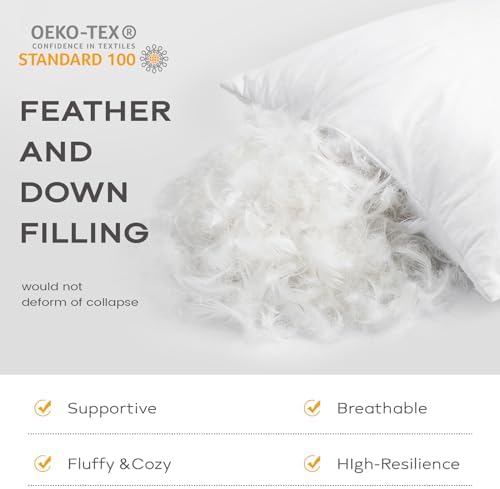 SAVORI Set of 2 Down and Feather Throw Pillow Inserts 20x20 Soft