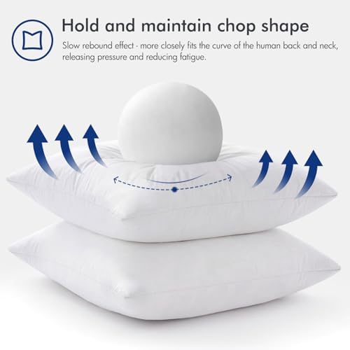 MIULEE 20x20 Pillow Inserts, Set of 2 Feather Down Throw Pillows