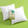 Ashler 18x18 Pillow Inserts Set of 2, Hypoallergenic Throw Pillow
