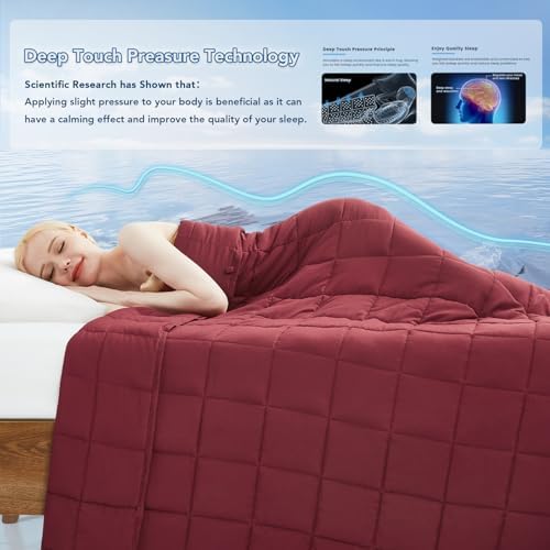 Topcee Weighted Blanket for Adults (20 lbs, 60" x 80") Queen Size Soft