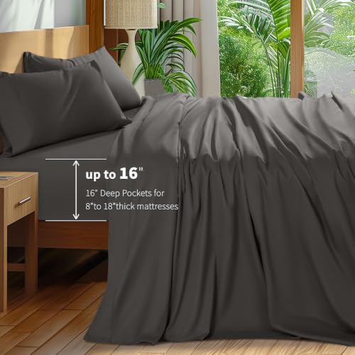 Shilucheng 100% Egyptian Cotton King Size Sheets Set (Dark Grey, King)