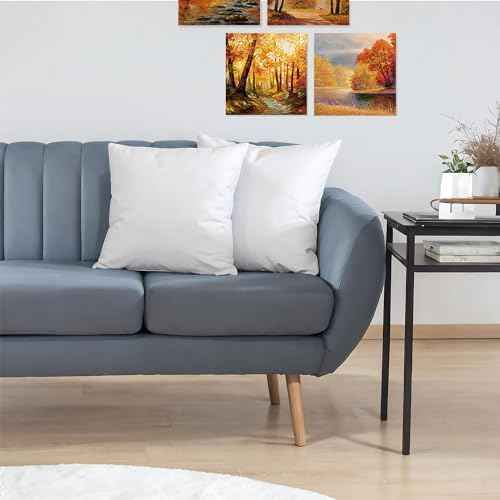 JIEITIVE Throw Pillow Inserts Hypoallergenic Premium Pillow Stuffer