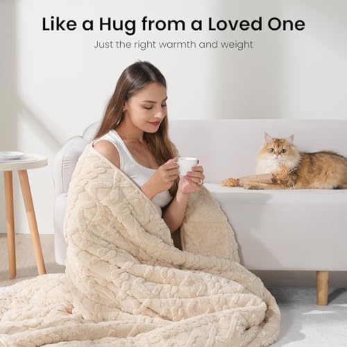Drewin Weighted Blanket for Adults Full Size 10lbs,Beige,48