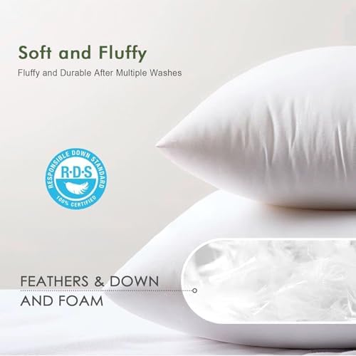 TOPGREEN Feather Down Throw Pillow Inserts 18 x 18, Set of 2, 100%
