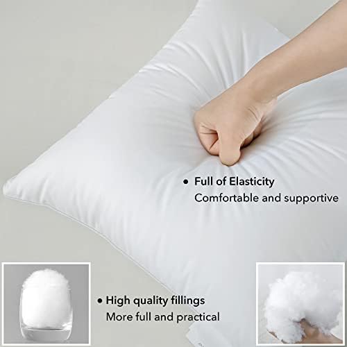 FAVRIQ 20 x 20 Pillow Inserts (Set of 2) - 20 Inch Square Interior