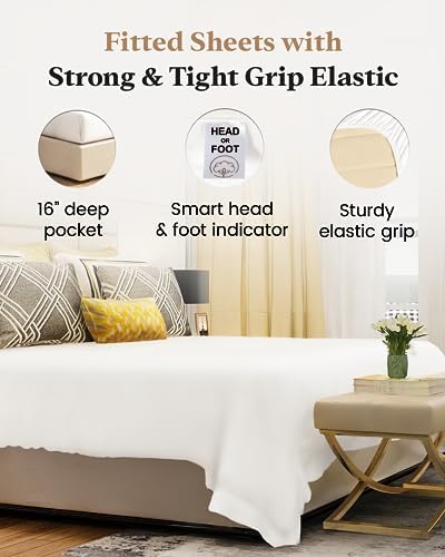 100% Egyptian Cotton Twin XL Fitted Sheet, 1000 Thread Count - White
