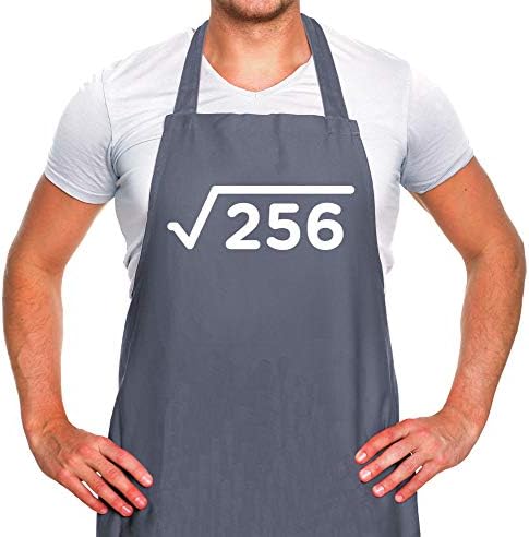 Dressdown Square Root - 16th Birthday - Unisex Adult Kitchen/BBQ Apron