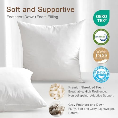 Organic Feather Down Throw Pillow Inserts 20x20 Inch Set of 2