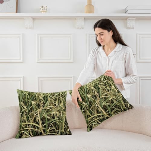 Feelyou Tree Camo Cushion Case 22 x 22-Inch Botanical Throw Pillow