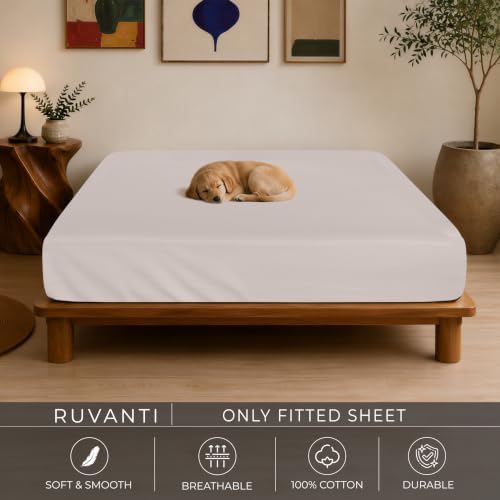 RUVANTI 100% Cotton Fitted Twin Sheets, Percale Weave – Soft Beige