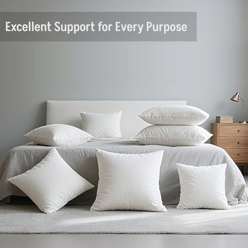 20 x 20 Throw Pillow Inserts Pack of 2 Large White Decorative Square