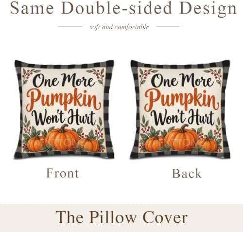 House Plaid Pillow Covers 22x22 Inch Set of 2 Linen for Farmhouse