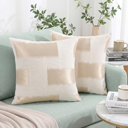 Set of 2 Chenille Jacquard Throw Pillow Covers 20x20 Inches, Modern