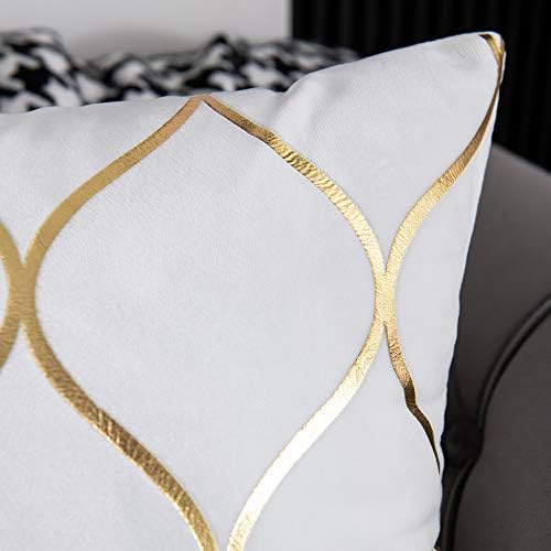 DEZENE Gold Velvet Throw Pillow Covers Off White: 2 Pack 20x20 Inch