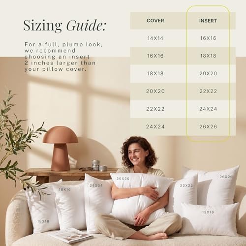 Hearth & Harbor 20x20 Pillow Inserts Set of 2 – Square Throw Pillow