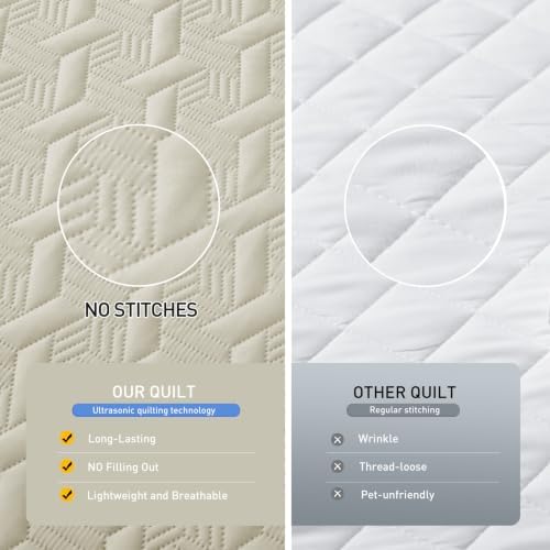 Lavsiry King Quilt Bedding Set with Pillow Shams, Beige