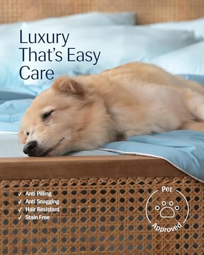 REST Buy 2 GET 30 Percent Off: Evercool Comforter Plus Pillowcases
