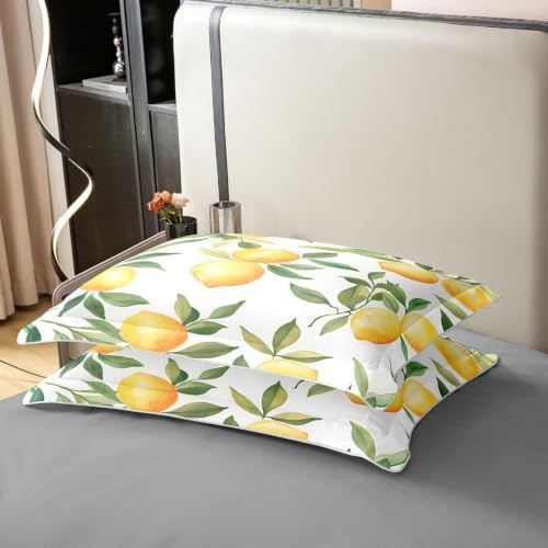 Manfei Lemons Duvet Cover Set Full Size 100% Cotton,Fruit Leaves Plant