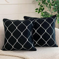 WACOMECO Silver Throw Pillow Covers, Pack of 2 Soft Velvet Decorative