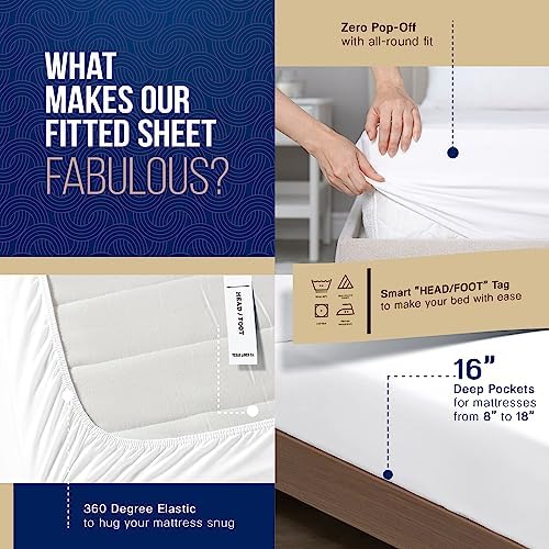 TEXAS LINEN CO. 1000 Series Cotton Bed Sheets King Size Set, Dark Grey