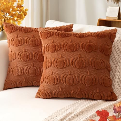 Artscope Fall Pillow Covers 20 x 20 Set of 2 Decorative Autumn Harvest