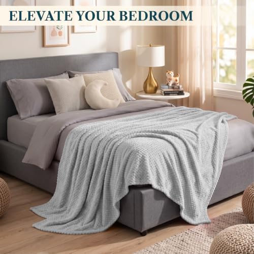 PAVILIA Fleece Throw Blanket for Couch Sofa Bed, Light Gray 60x80 Twin