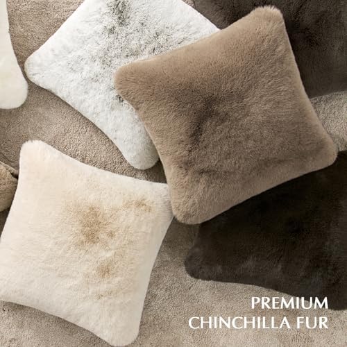 EVERGRACEHOME Luxury Soft Faux Chinchilla Fur Throw Blanket 60”x80”