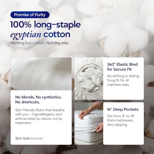 Egyptian Cotton King Fitted Sheet, Fits Upto 16" deep Pocket - Dark