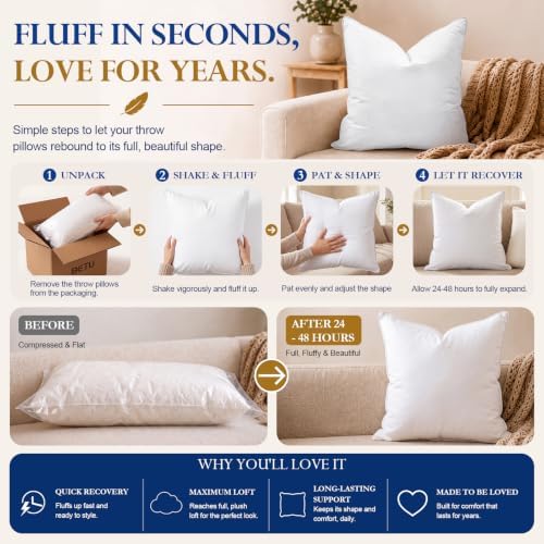 BETU 20x20 Pillow Inserts,Set of 2 Feather Down Throw Pillows for