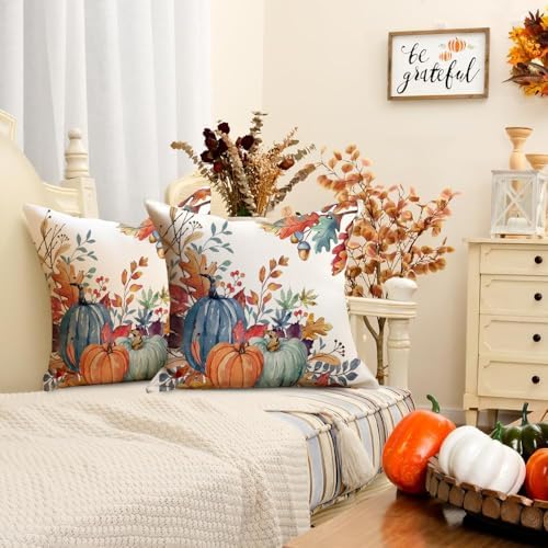 RABUSOFA Fall Outdoor Pillow Covers 18x18 Set of 2 Waterproof Pumpkin