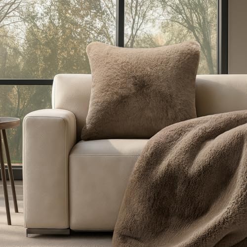 EVERGRACEHOME Luxury Soft Faux Chinchilla Fur Throw Blanket 60”x80”