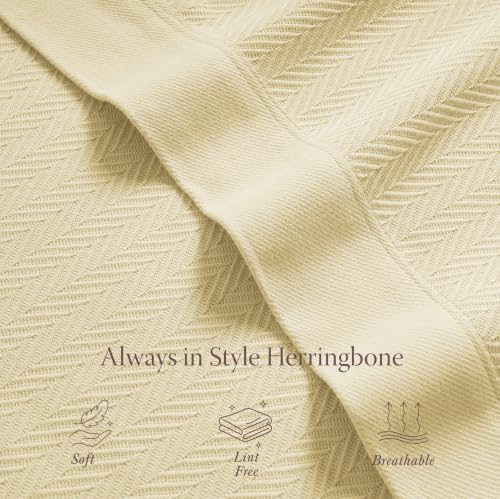 Threadmill Vanilla Cream 100% Combed Cotton King Size Blanket