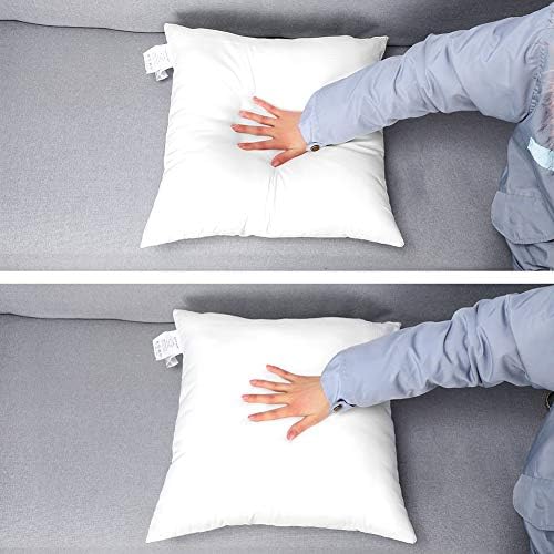 Artscope Premium Throw Pillow Insert Square Form Cushion Stuffer for